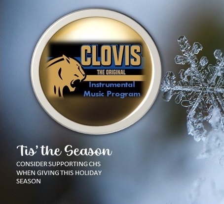 Holiday ornament with the text "Tis the season — Consider supporting CHS when giving this holiday season"